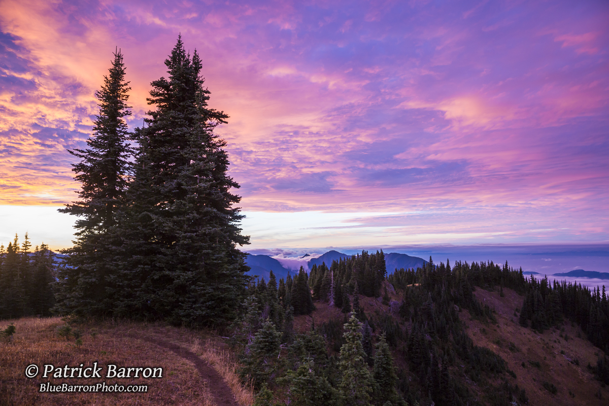 During this time you might've seen some of my photos, but I never mentioned the circumstances. I didn't want people worrying, especially since for the most part I was fine.