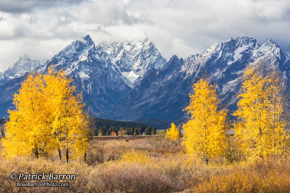 During this time you might've seen some of my photos, but I never mentioned the circumstances. I didn't want people worrying, especially since for the most part I was fine.