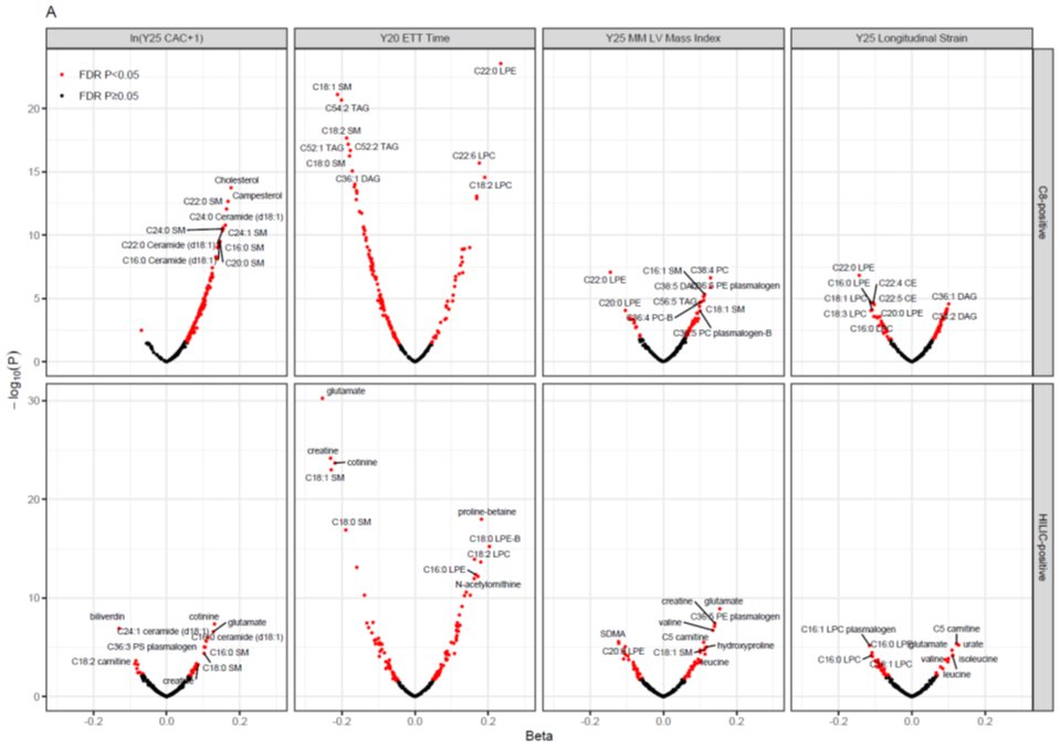 These are volcano plots. They show effect size on y-axis (beta coefficient from regression) & log of the p-value on y-axis. Big effects are out on the outer arms of the volcano.Red dots correspond to metabolites that are “significant” despite all the multiple testing.
