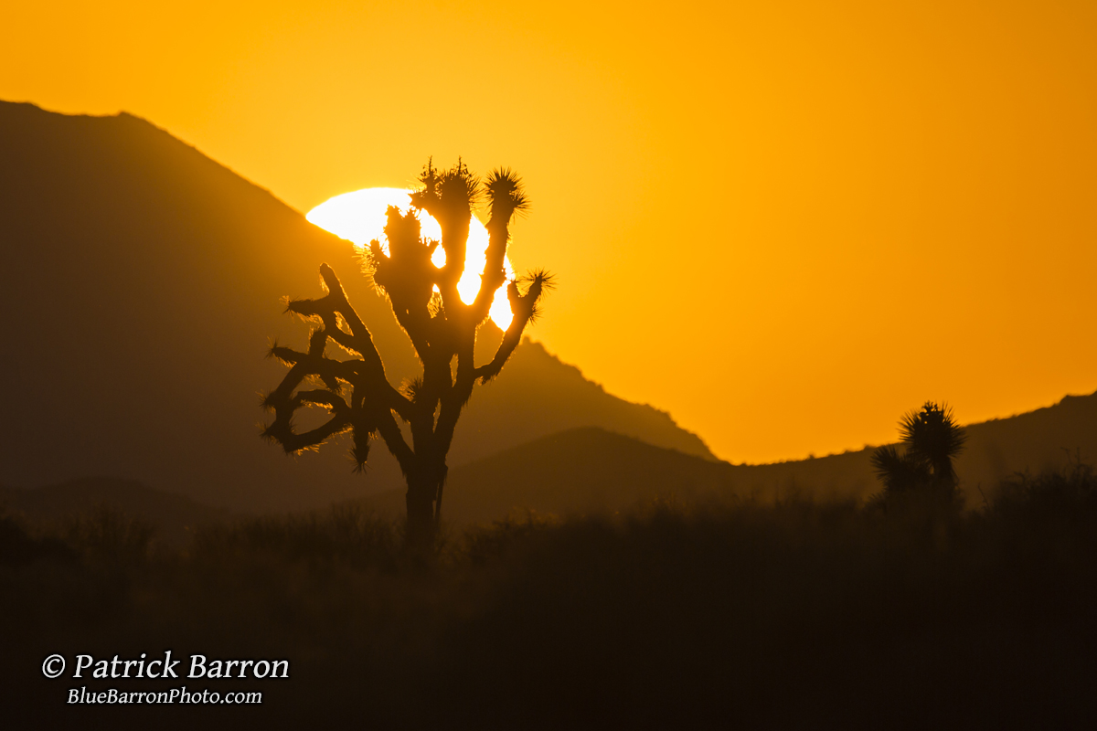 I started gaining more appreciation for simpler things. Watching the sunrise. Cooking a meal. Even just sitting quietly by a river. I was staring at fewer screens and stimulating my brain less. With how much I lost I really felt like I was appreciating the little things I had