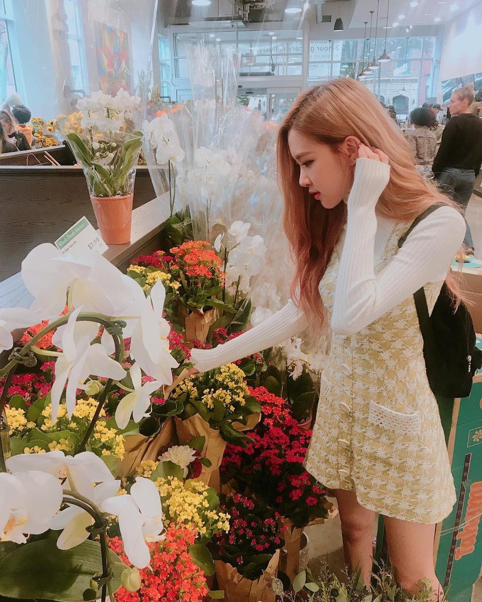 Mjxrose67's tweet photo. About MJ 🐱 https://t.co/jXw8oao3IE