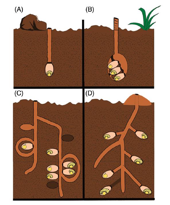 Nigel Raine tweet media