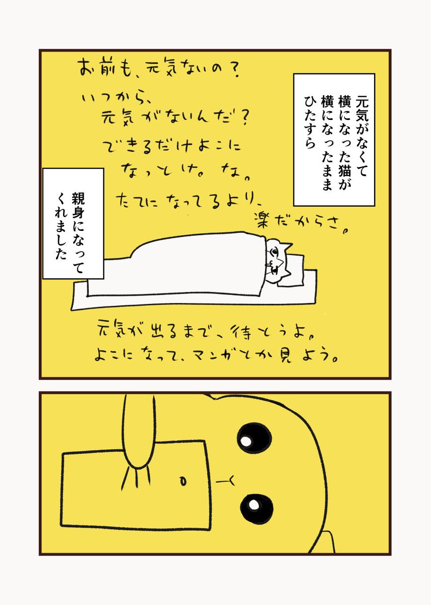 自信なくして寝てた私が横になった猫に横になったまま救われた話
#プレーリー読書エッセイ
#漫画が読めるハッシュタグ 