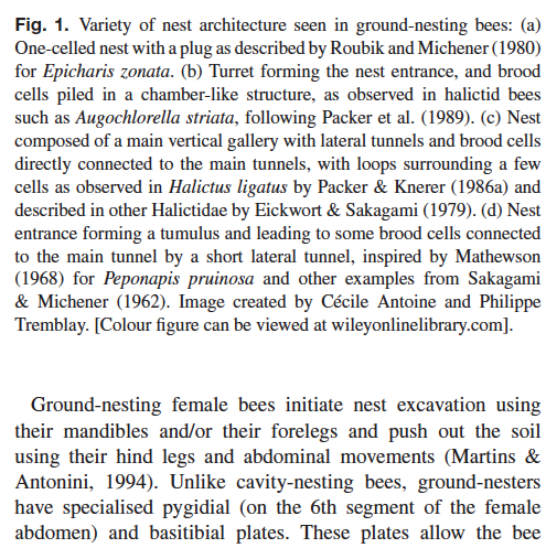 Nigel Raine tweet media