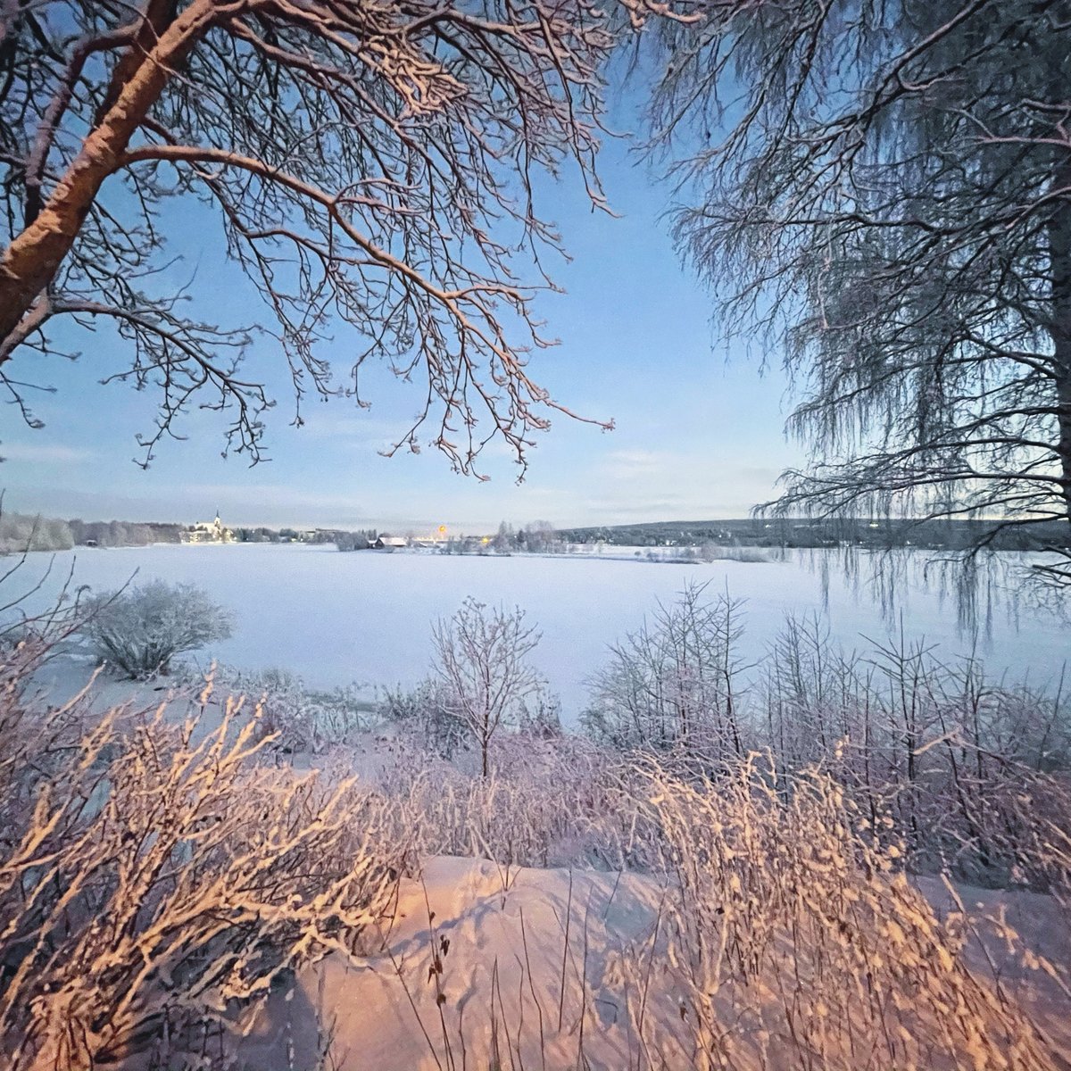 Morning frosty views. Only a few weeks before #kaamos (polar night) in #Rovaniemi