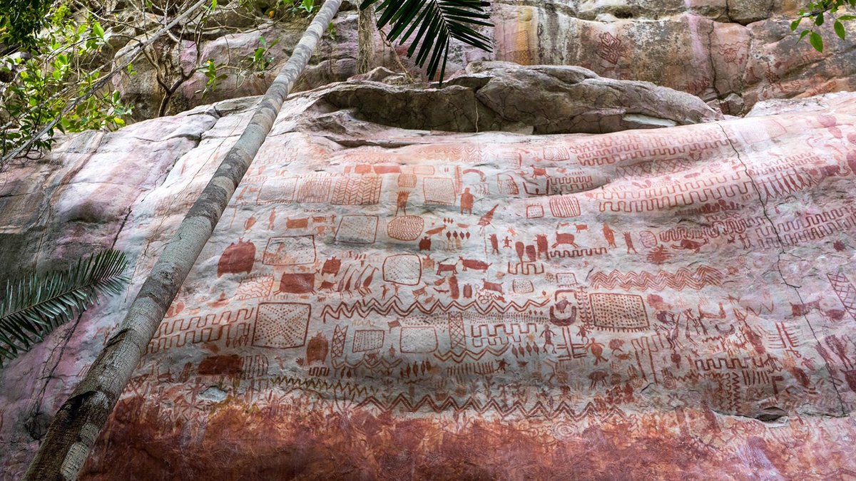 Phát hiện chấn động: Hàng chục nghìn tranh vẽ cổ đại được phát hiện trong rừng Amazon