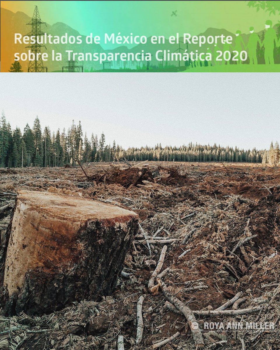 iniciativaclima's tweet photo. A pesar de que #China, #UE y #México tienen las políticas más ambiciosas contra la #deforestación, ninguna de ellas es compatible con la meta de 1.5°C de los #AcuerdosDeParís.
¡Es tiempo de actuar!
Checa los datos del #CTreport2020 en:
https://t.co/hdhXtzp0Yj https://t.co/SU03NBzKpe