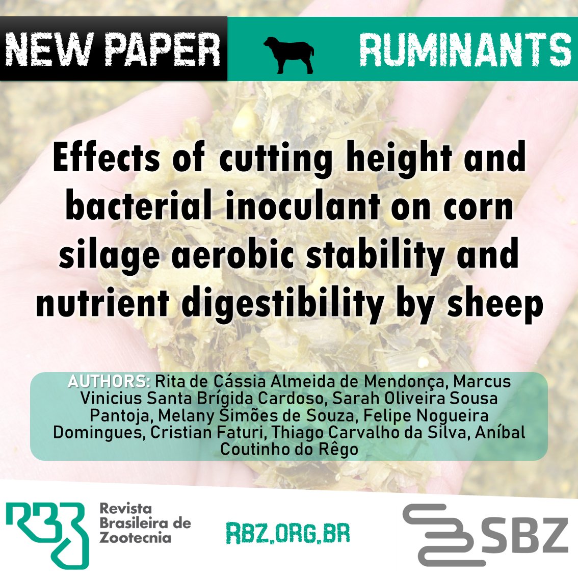 rbz_bjas's tweet image. Effects of cutting height and bacterial #inoculant on #cornsilage aerobic stability and nutrient #digestibility by #sheep

rbz.org.br/pt-br/article/…

dx.doi.org/10.37496/rbz49…

#RBZ #Ruminants