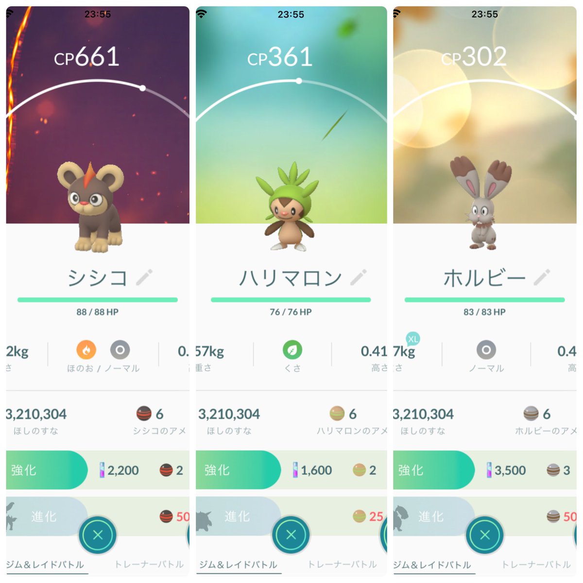 シシコ シシコ