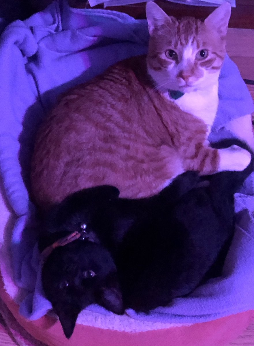 Open for a surprise...