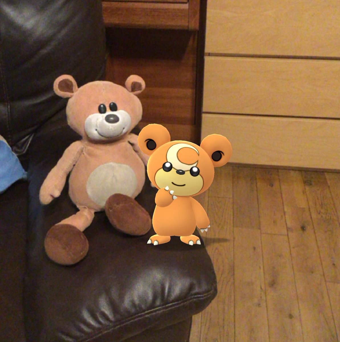 RealChubbyBear's tweet photo. I duz be playing @PokemonGoApp again and my little virtual brethren duz pops by to sees me. https://t.co/CwW5gQyLrK