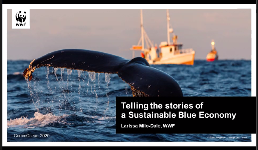 KathKopke's tweet photo. Delighted to get the chance to learn more about @larashka and her amazing @WWF work at the #CommOcean2020 closing session: ' I wasn't born a marine policy communicator but I have and still learn how to do ...' great insights shared with the marine #scicomm community https://t.co/P5CoAiJt1a