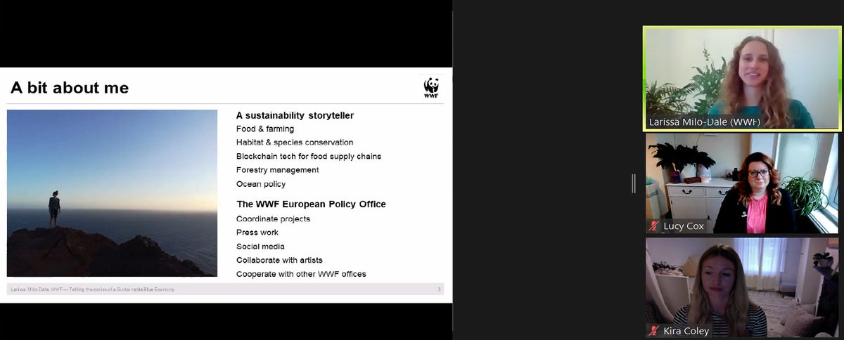 KathKopke's tweet photo. Delighted to get the chance to learn more about @larashka and her amazing @WWF work at the #CommOcean2020 closing session: ' I wasn't born a marine policy communicator but I have and still learn how to do ...' great insights shared with the marine #scicomm community https://t.co/P5CoAiJt1a