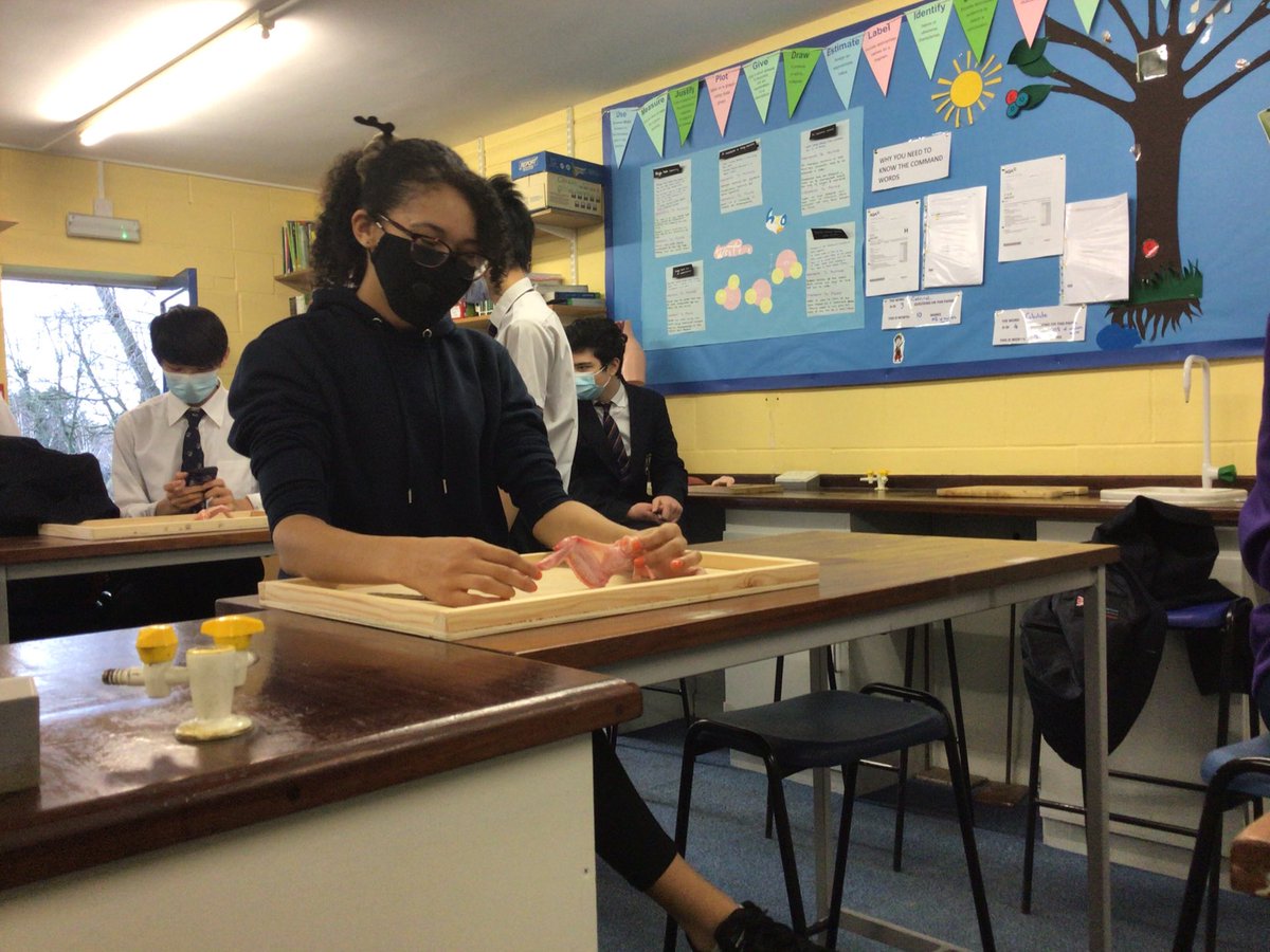 ChaseScienceDep's tweet photo. The final #CGSScience A level taster session of the day #CGSBiology #CGSInternational #CGSAcademic #CGSY11 #CGSSixthform https://t.co/YA5f8m1MU1