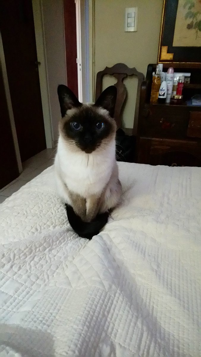 CECILIA 🌼💚💜❤️ tweet media