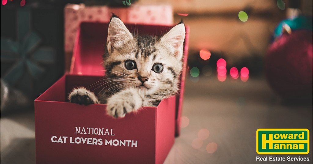 Did you know that December is #NationalCatLoversMonth? Of course, our cats believe that's every month! 😺 Here's to these darling pets and companions!