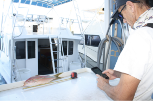 ASAFishing's tweet photo. "@SAFMC's #MyFishCount has been a huge step forward for recreational data collection,” said @ralston_kellie, SE Fisheries Policy Director for ASA. “We look forward to continued advances as the program transitions from the Council to @angleraction.” https://t.co/ZEMpegj9MR https://t.co/g6uvNoTaZu