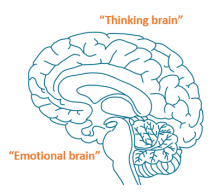 Florida PBIS tweet media