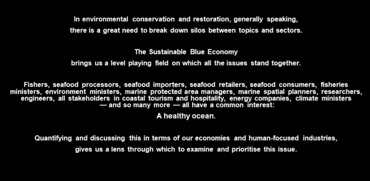 catching_waves's tweet photo. Almost at the end of this years' #CommOCEAN2020 and Larissa Milo-Dale from @WWFEU reiterating the importance of recognising our connection to move towards #sustainable #BlueEconomy https://t.co/mTKIQj2Mho