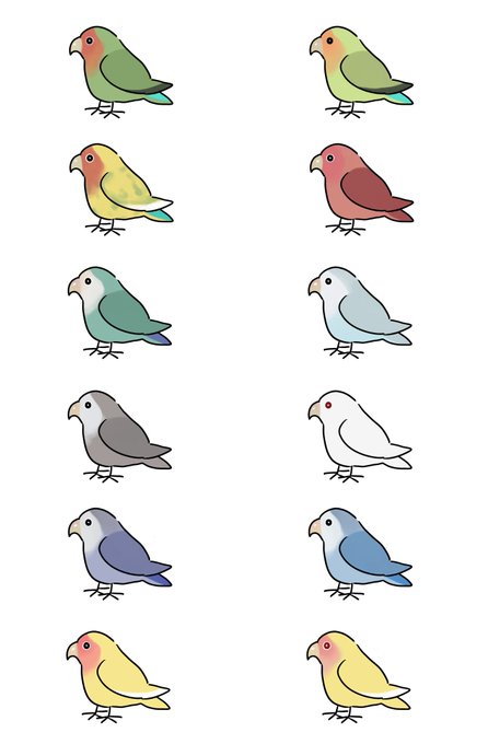 コザクラインコのtwitterイラスト検索結果 コザクラインコのtwitterイラスト検索結果