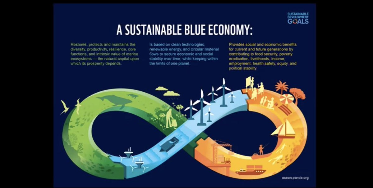 catching_waves's tweet photo. Almost at the end of this years' #CommOCEAN2020 and Larissa Milo-Dale from @WWFEU reiterating the importance of recognising our connection to move towards #sustainable #BlueEconomy https://t.co/mTKIQj2Mho