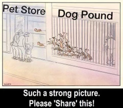 Lisa Vanderpump (@lisavanderpump) on Twitter photo 