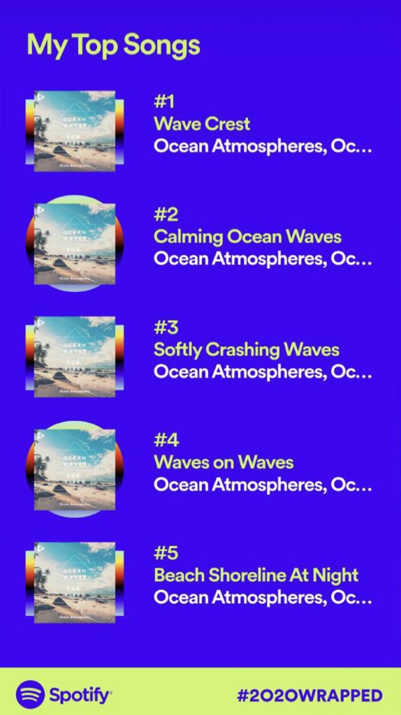 theLovelyLisaB's tweet photo. I think this pretty much sums up 2020. #SerinityNow #SpotifyWrapped https://t.co/zjPGQRMytb