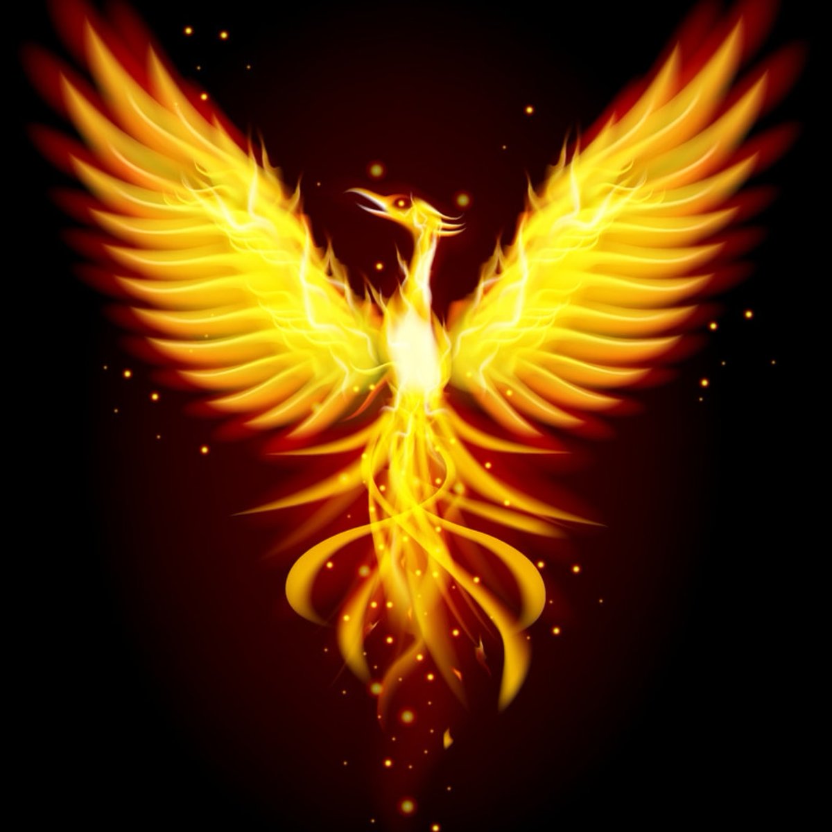 TheRealPop10's tweet image. 