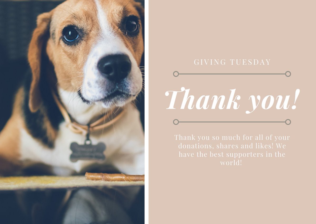 Thank you for all of your retweets and donations! We couldn’t do this without all of you! You make each rescue possible.