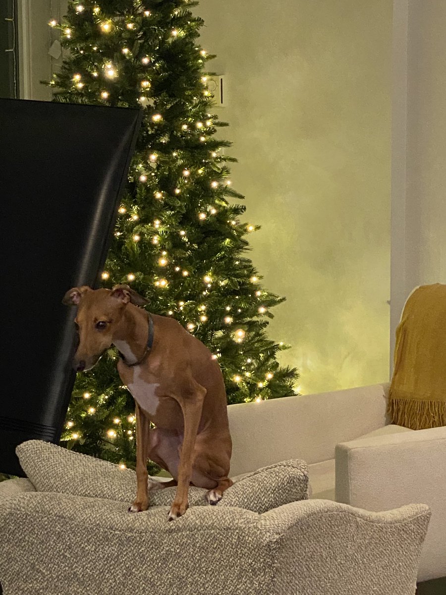 branflakeassMAN's tweet image. during the bender vs post binge clarity