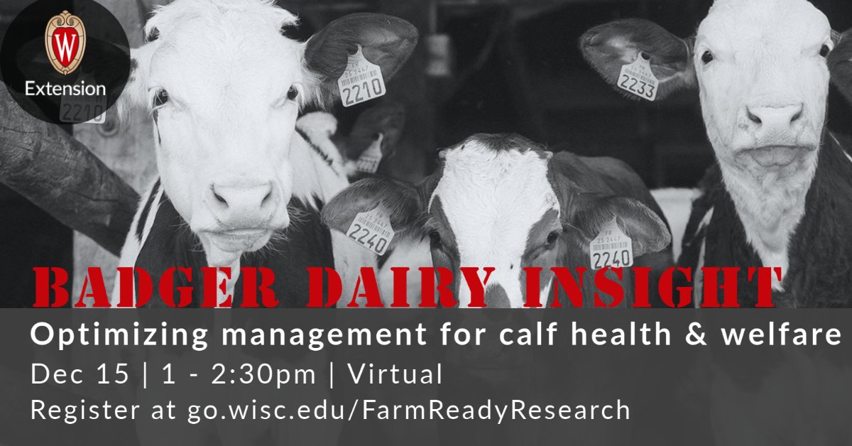 🐄 Tues, Dec 15, 1 pm CST, online (Zoom)
🐄 Two heads are better than one: The benefits of pair or group housing of calves - Jennifer Van Os
🐄 Calf success: The first 24 hours - Tina Kohlman
🐄 FREE! Register: extension.wisc.edu/agriculture/fa…