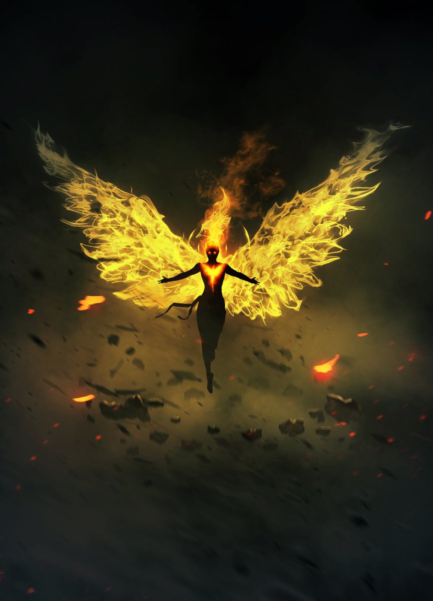 BossLogic tweet media