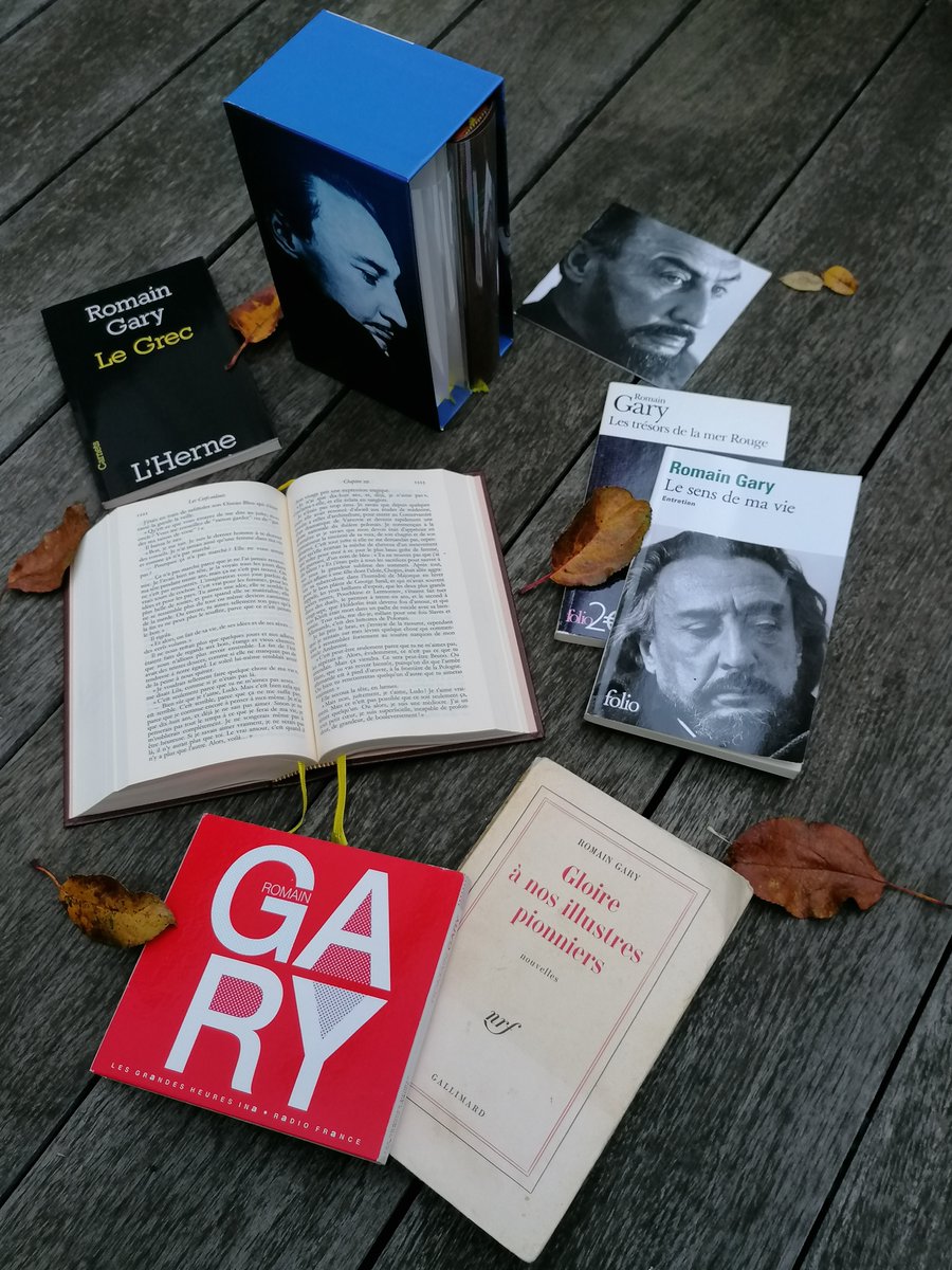 canisius1521's tweet photo. Romain Gary nous a quittés le 2 décembre 1980. Il nous laisse un immense héritage humaniste et littéraire. Prolifique, virtuose, terriblement lucide, son œuvre balaye tous les poncifs et nous redit sans cesse : "ouvre les yeux et regarde plus loin et plus haut que ce que tu vois" https://t.co/vnZ7QK3JEF