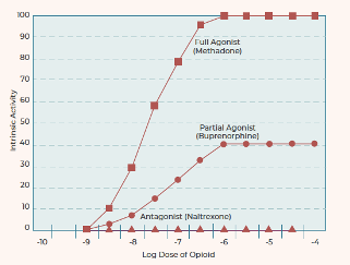 3/xxTo start, it’s important to remember two key characteristics of buprenorphine1) High affinity (it grabs the opioid receptor and kicks anything off in its path)2) Partial agonist (only activates the mu receptor halfway)