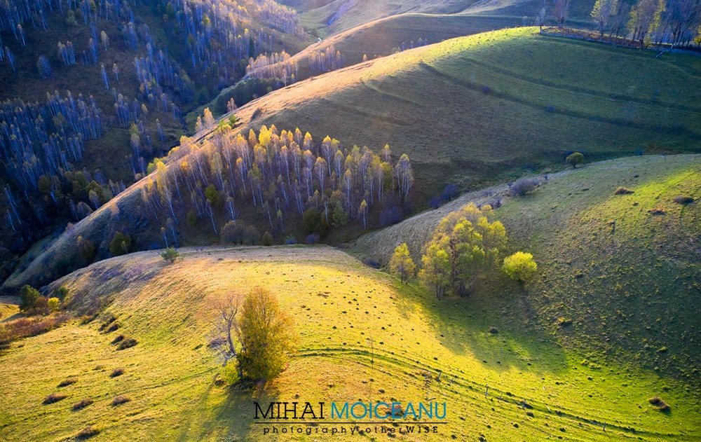 mihai_moiceanu's tweet photo. A last look at the Fall colours before the Winter will take control over nature. Apuseni Mountains. / O ultima privire catre culorile toamnei inainte ca iarna sa-si intre in drepturi. In Apuseni. #PhotoTOURcuMihaiMoiceanu #Transylvania #Apuseni #Salciua #FallColours #Aerial https://t.co/ULCwVvcFXR