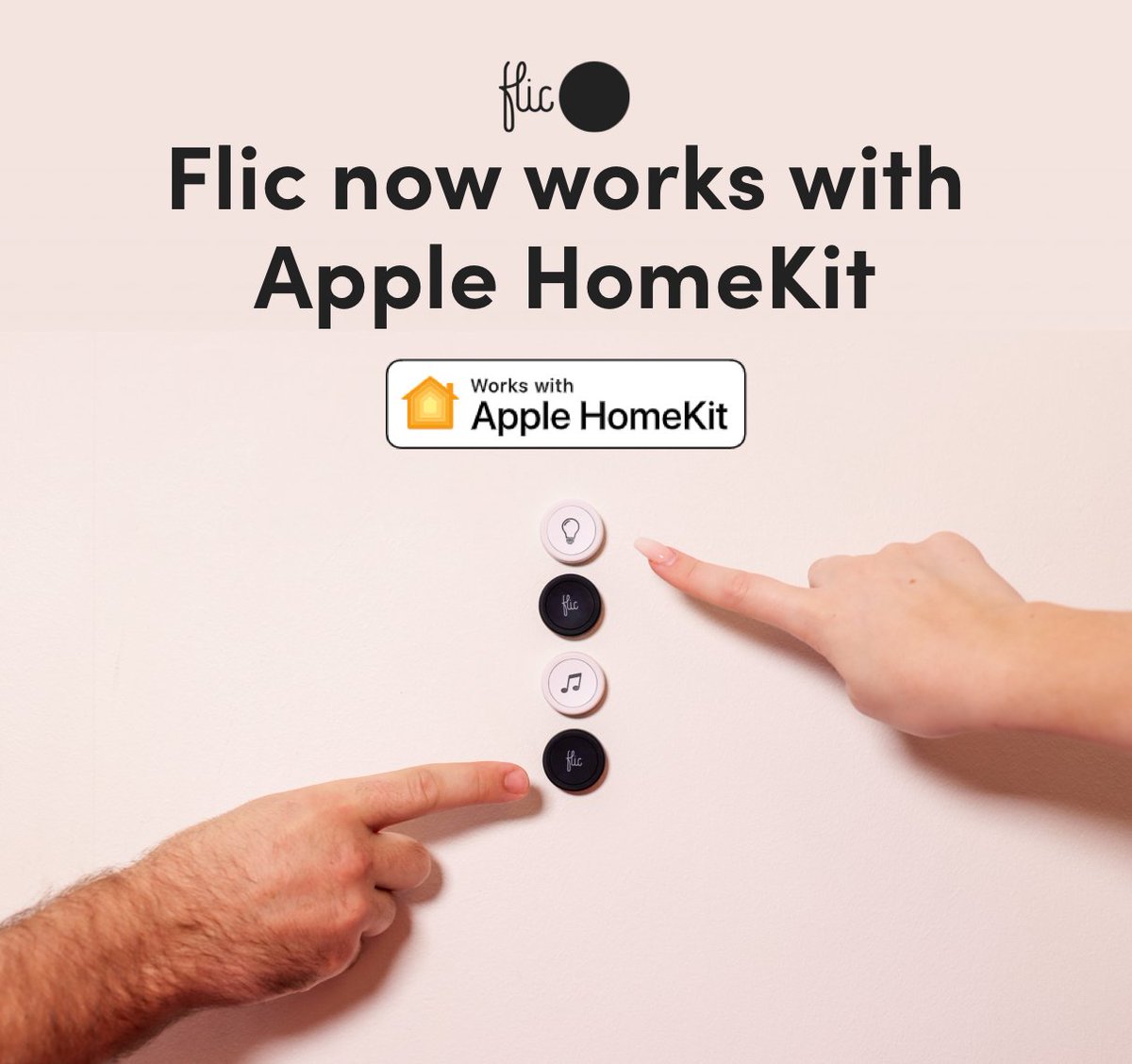 flic google home