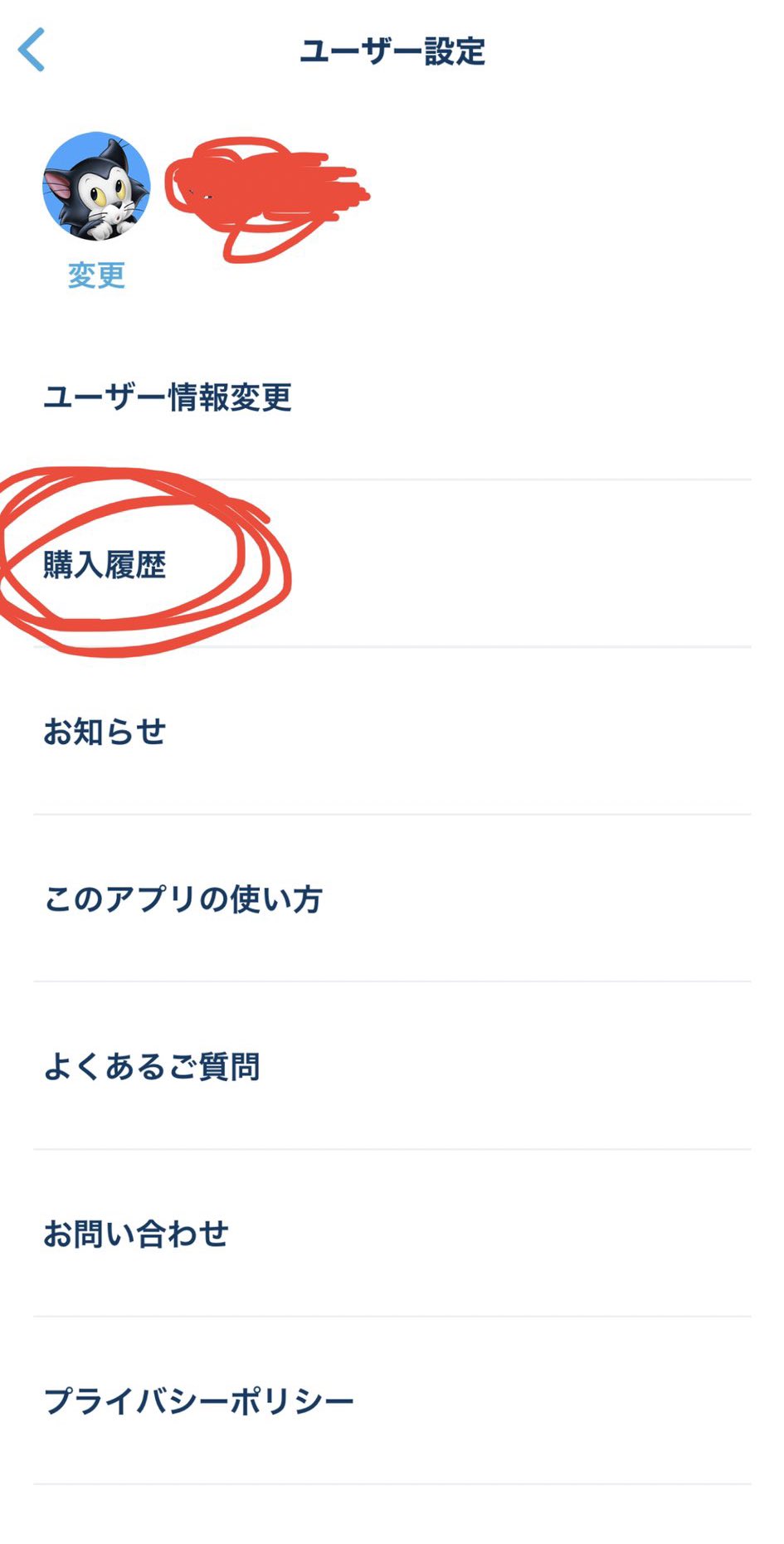 りっち D垢 チケットの変更の仕方 分からない方はこの順番にやれば簡単に日付変更できます パーク変更可能 入園時間変更可能 差額支払い 変えたい日付売り切れの場合変更不可 未使用チケット1年間変更可能 一応 問い合せた回答です ディズニー