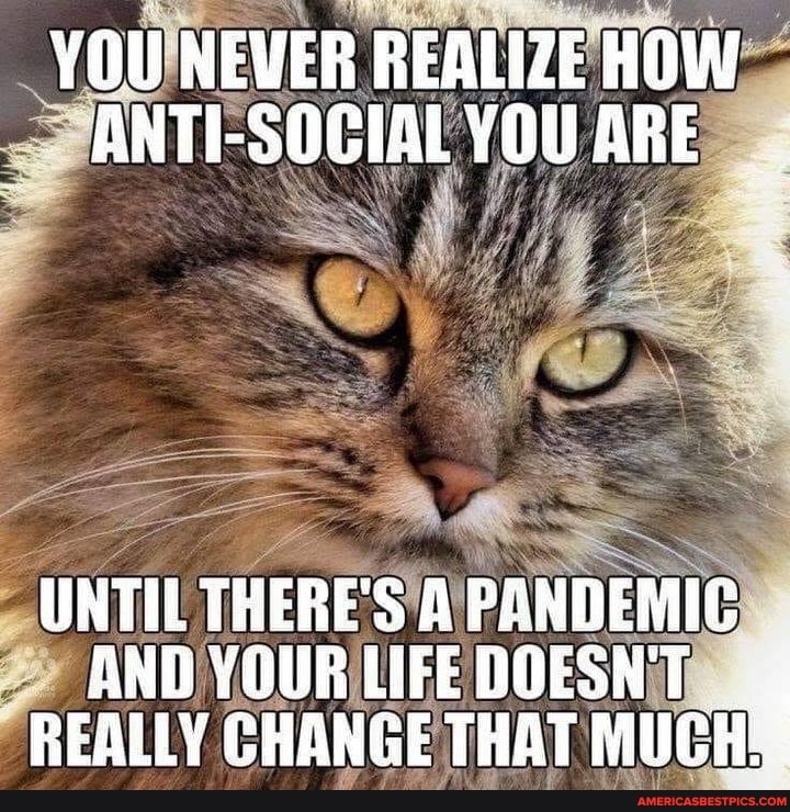 abpv.onelink.me/nWMv/share?c=t…
#AmericasBestPicsAndVideos