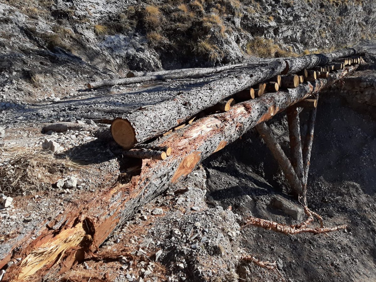 lblache's tweet photo. Avec @lesliebenz, on a donc dû faire appel à un 4x4 pour emprunter une piste forestière alternative et un pont de fortune pour plus d'une heure de trajet chaotique. 3/10 https://t.co/RyNHDwedvq