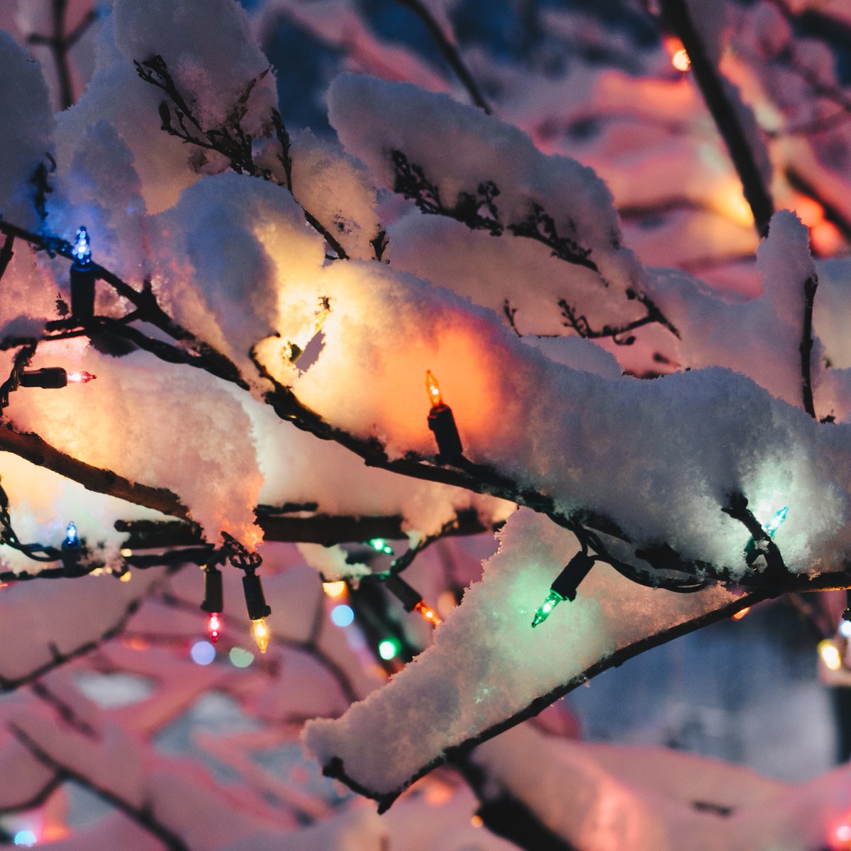 VineyardKoeln's tweet photo. Heiligabend im Park | 24.12. | 16°° Uhr

Wir feiern einen Outdoor-Gottesdienst um 16 Uhr im Nordpark.
Im Anschluss bist du herzlich zu Glühwein oder Punsch eingeladen.  Sei dabei und bring deine Freunde mit!

#weihnachten2020 #heiligabend #weihnachtsgottesdienst #outdoorworship https://t.co/bq7jJir4q2