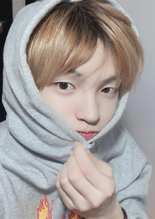 AliceBahia8's tweet photo. Feliz dia DKB❤❤❤
#BestieSelcaDay #BBSD #DKBSD #다크비 #DKB #테오 #HEECHAN #BB @DKB_BRAVE https://t.co/XsIFgT4cDG