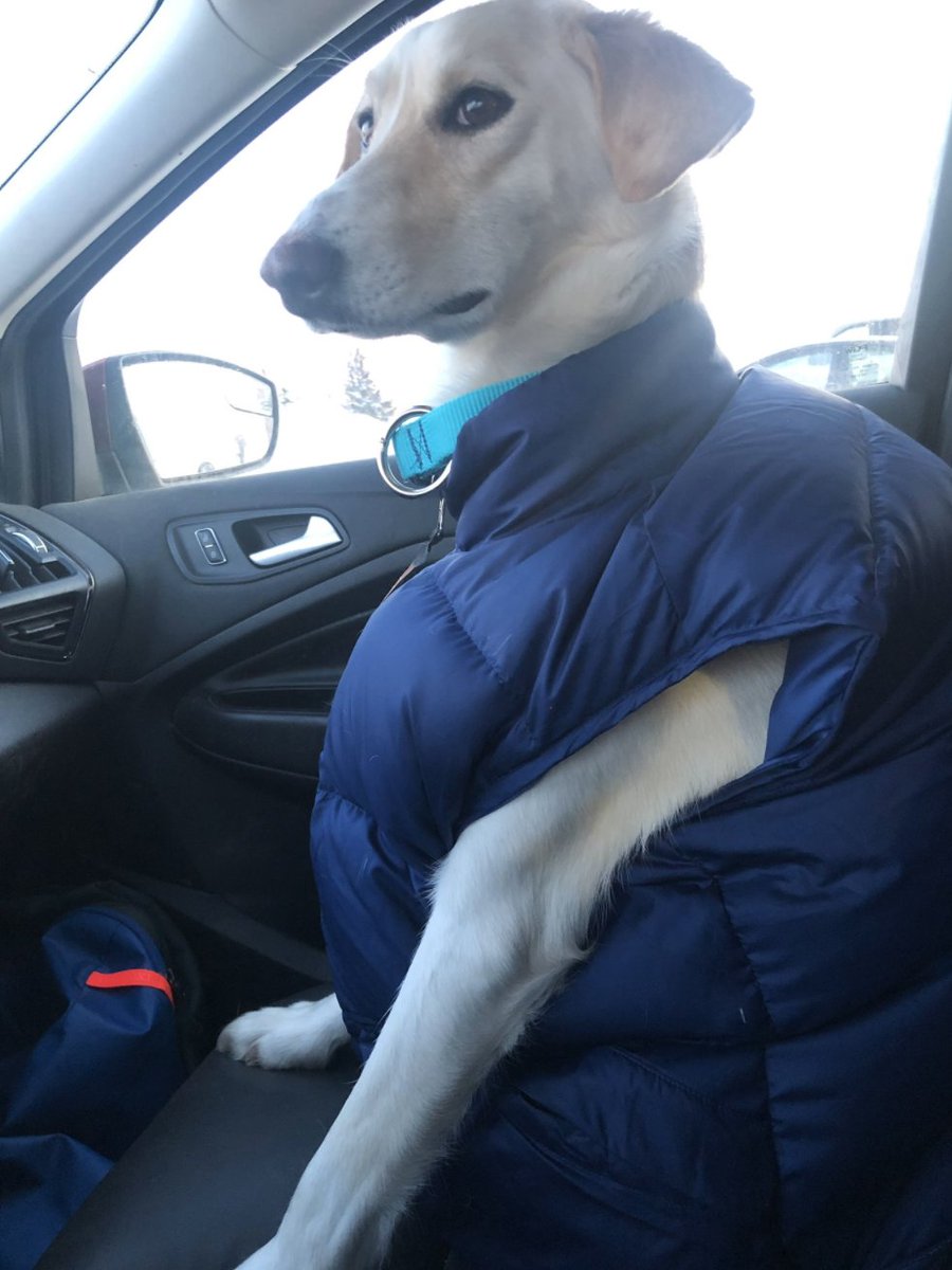 Yup, air. The key to cold-weather dressing is to create a personal layer of air that you carry around with you. Those expensive, high-tech fleeces and jackets you see for sale? They're fancy ways to hold air.