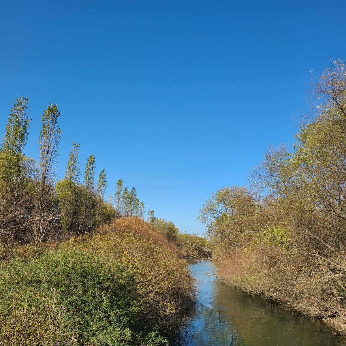 장향숙 (@janghyangsook) on Twitter photo 