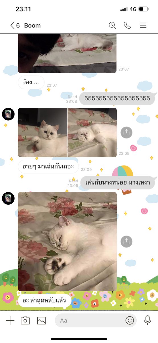โบนัสเป็นแม่แมว tweet media