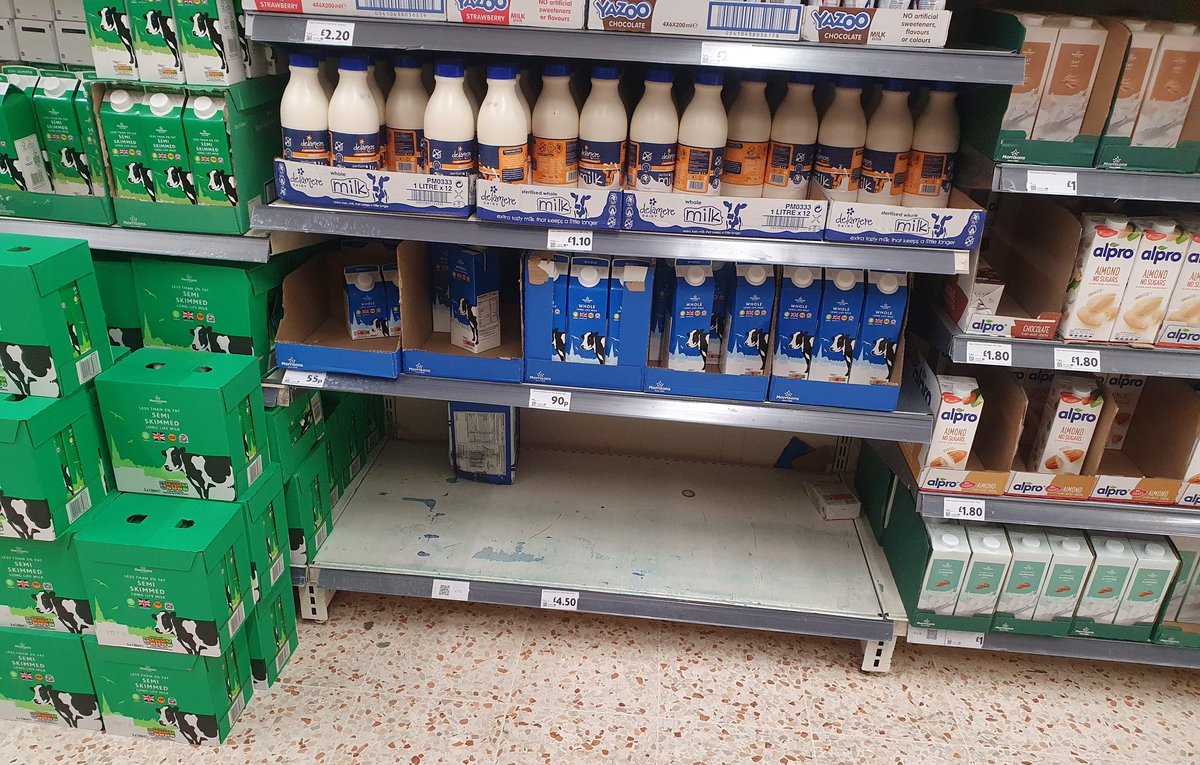DavidYung's tweet photo. Damn. Some people are not taking any chances after 1st January. 😳😭 #brexitproof

The long life whole milk shelf at Morrisons, ladies &amp; gentlemen. 😕😒

Nobody wants any long life semi-skimmed milk. 😬🤷🏻‍♂️ https://t.co/xcP3Y5yzai
