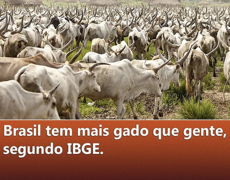 arthursenra's tweet photo. Tá explicado pq @jairbolsonaro é presidente. #Bolsonaro https://t.co/xZnyfr70M3