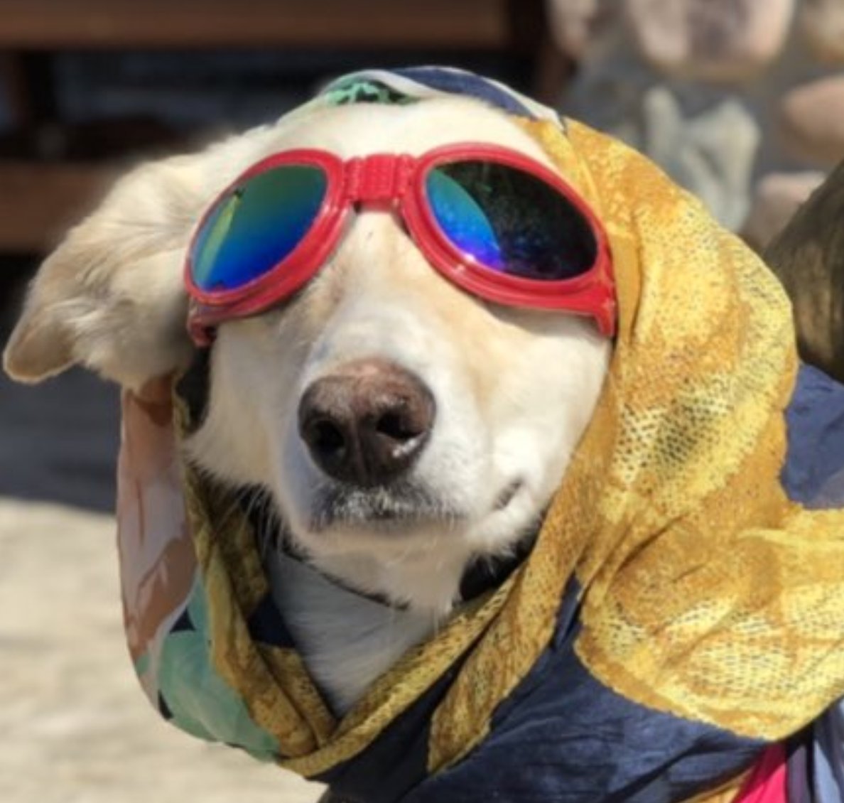 HATS. It’s a myth that you lose 40% of your heat through your head. You just lose heat from anywhere that isn’t covered, which may or may not be your head. Neck gaiters and wrist warmers can help with this, too.