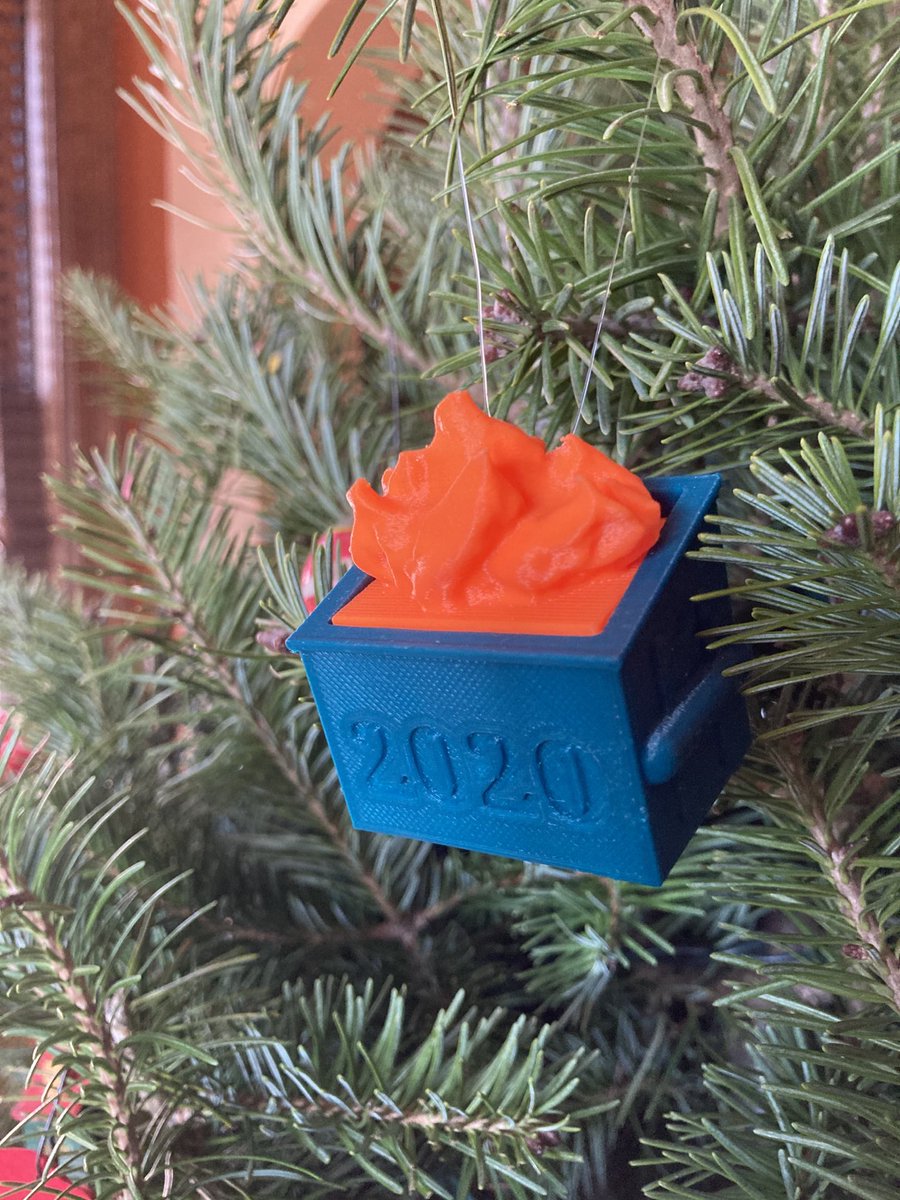 Awesome new Christmas tree ornament from my niece Kristin!