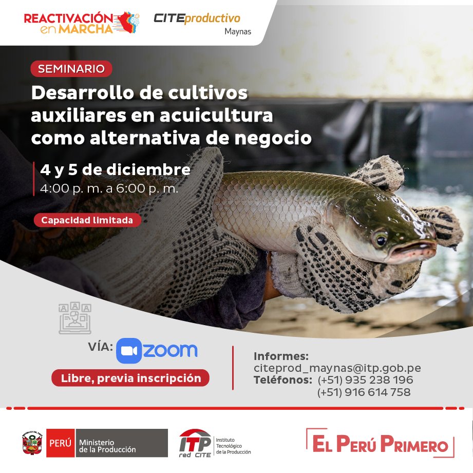 ITPproduccion's tweet photo. 🐠 Aprende a desarrollar cultivos auxiliares en acuicultura como alternativa de negocio.

📌 Organiza: @citepromaynas.
➡️ Inscripciones: https://t.co/hYzgHyYVqF. https://t.co/CMxN1Nlsji