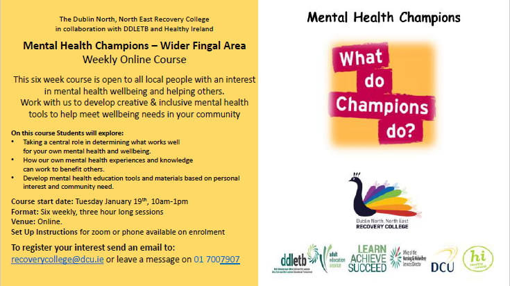 Mental Health Champions 2021! Delighted to be collaborating with DDLETB and a host of local community stakeholders on this exciting initiative accross the Fingal Area.  Enrolment is now open!!  For more information email: recoverycollege@dcu.ie